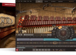 Toontrack EKX EZkeys - Melodic Percussion -  Wood